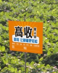 1xbet官网- 阿尔特塔轮换策略收奇效  